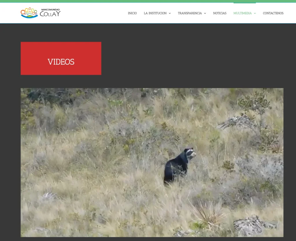 Sección Multimedia: Videos del portal de gestión de recursos hídricos (Oso Andino).