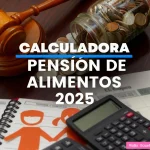 pensiones alimenticias ecuador, simulador de pensiones.