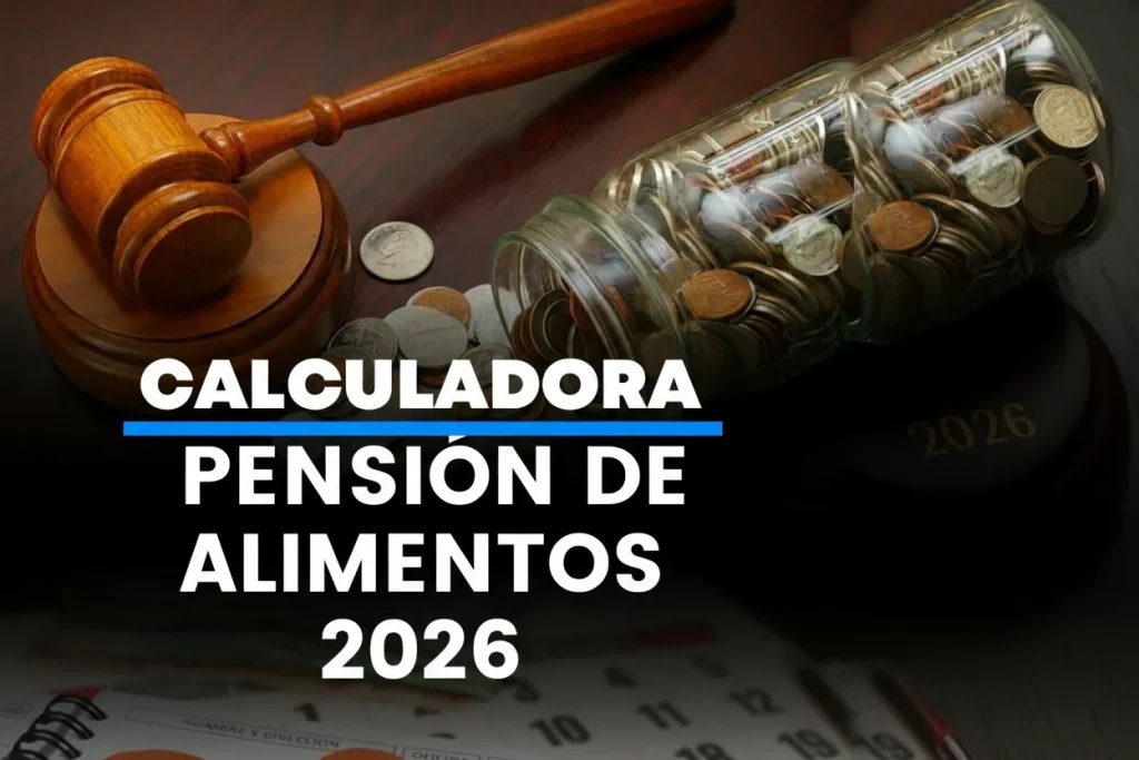 calculadora de pensiones alimenticias de Ecuador 4