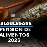 calculadora de pensiones alimenticias de Ecuador 4